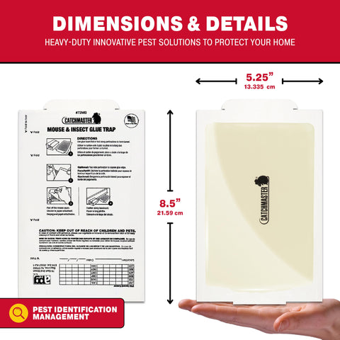 Catchmaster glue trap along baseboard pathway targeting pests along walls