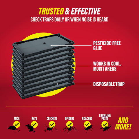 Catchmaster glue trap close-up shows durable, high-adhesion adhesive.