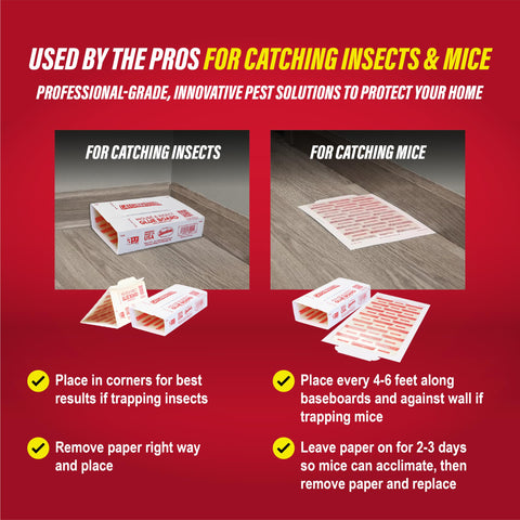 Catchmaster glue trap placed along an indoor pest pathway for mice