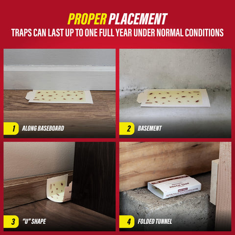 Catchmaster indoor glue trap suitable for home, garage, or workspace use.