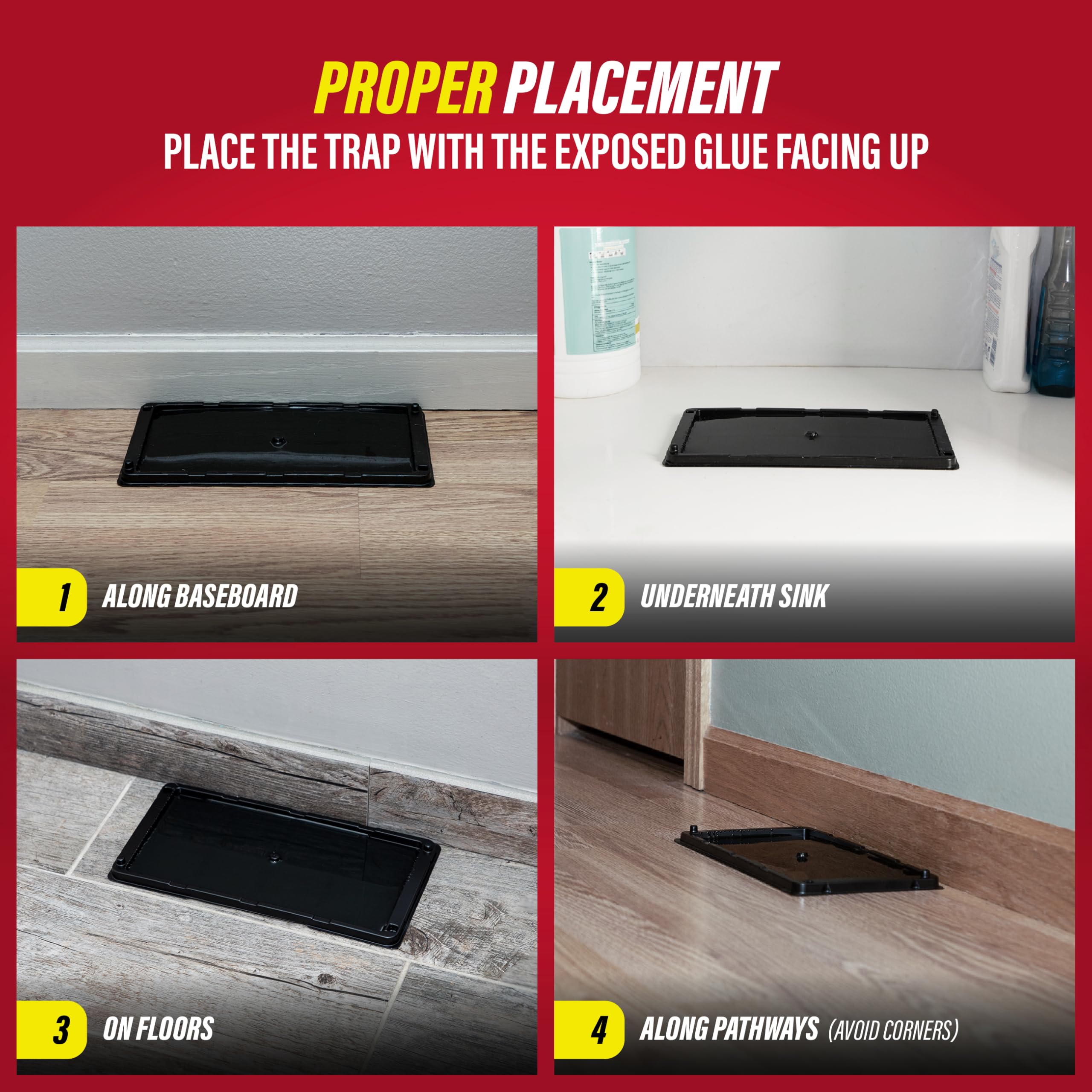 Catchmaster glue trap placed along pathways to maximize coverage.