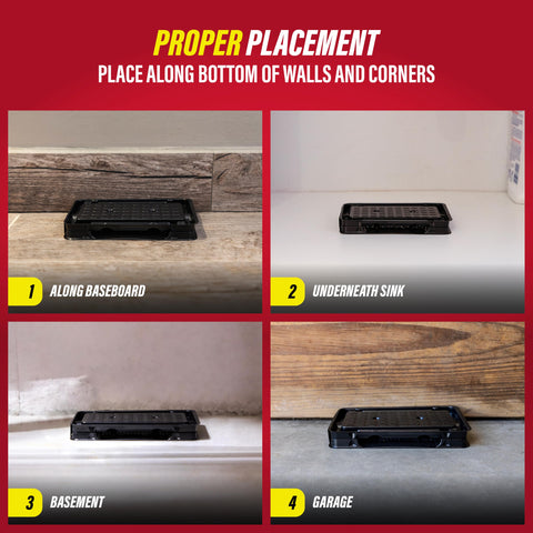 Catchmaster glue traps for kitchen pathways show discreet, year-round protection.