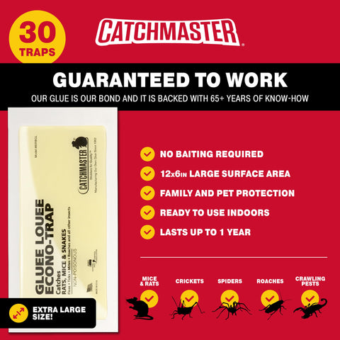 Catchmaster Gluee Louee Rat Trap adhesive close-up shows heavy-duty glue.
