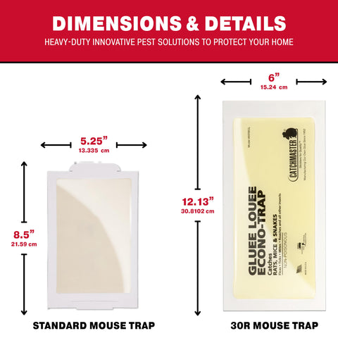 Catchmaster Gluee Louee Rat Trap inside-home use for clean pest control.