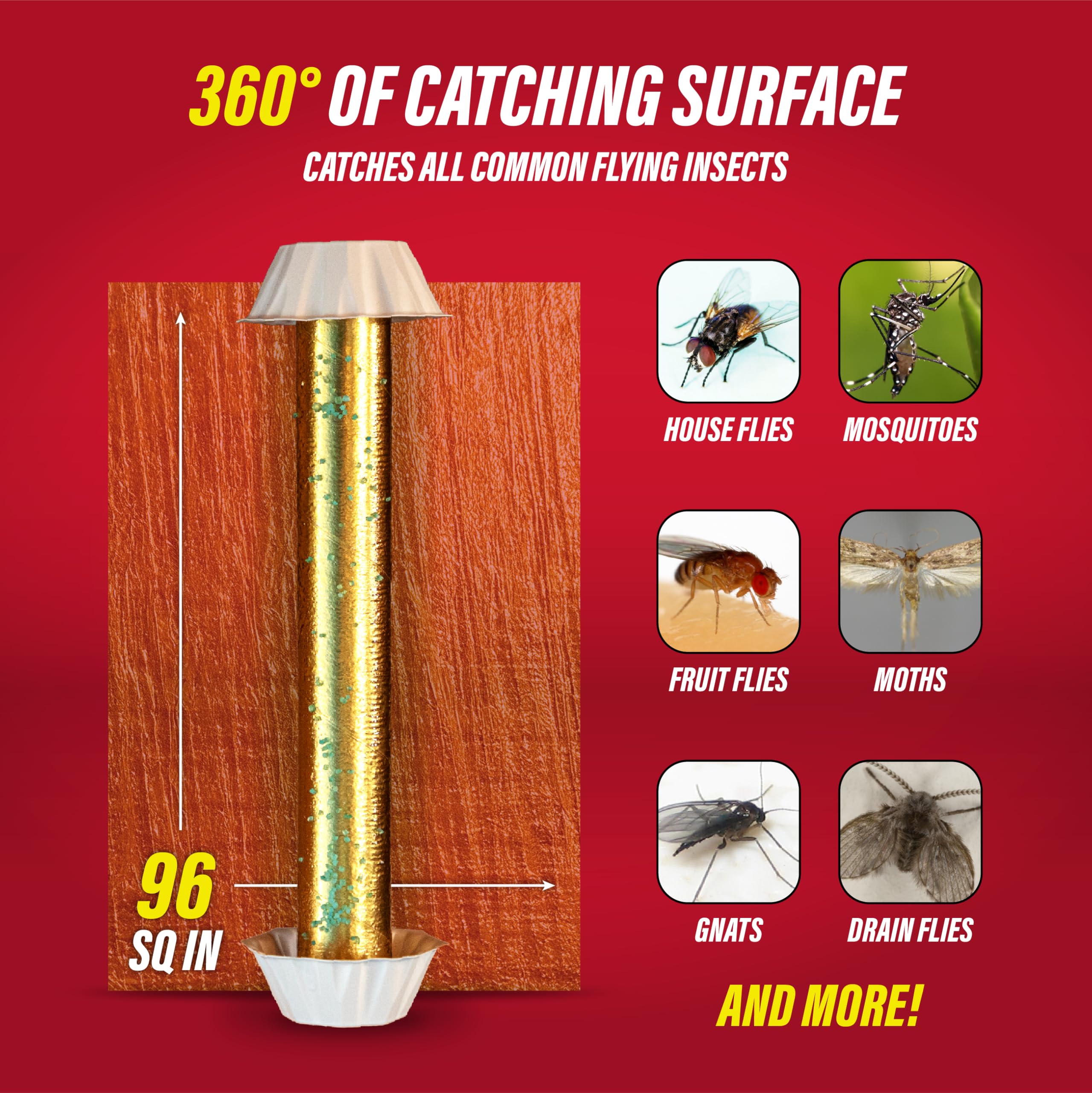 Close-up of Catchmaster Gold Stick glue surface captures nuisance flies.