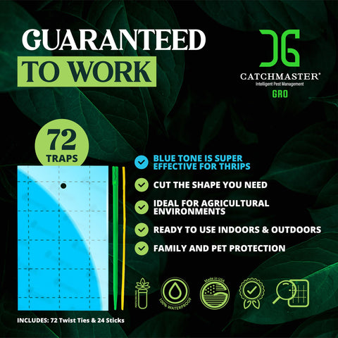 Catchmaster GRO Blue trap in canopy highlights discreet protection around live plants.