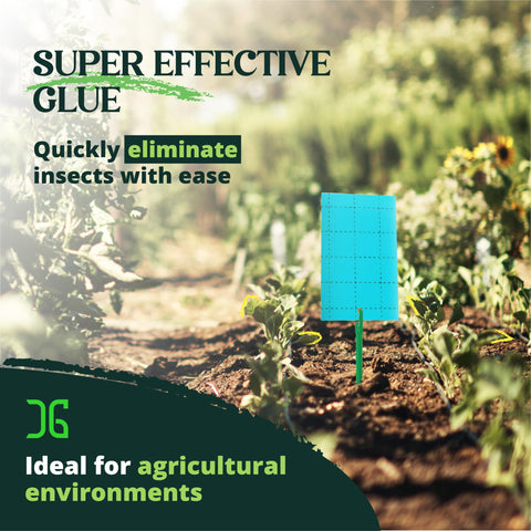 Catchmaster GRO Blue trap on wall shows easy placement for pest control.