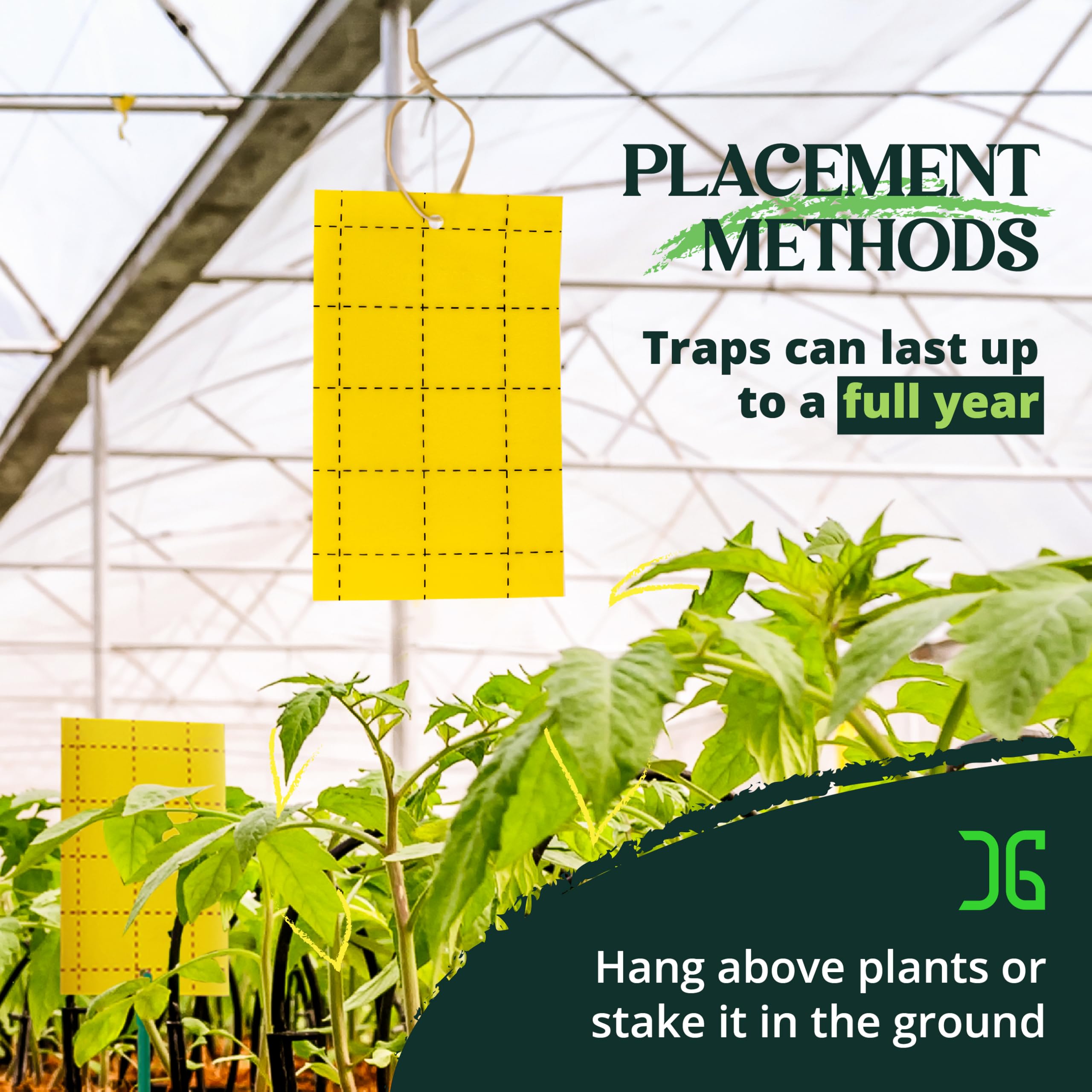 Catchmaster GRO Yellow captured pests on trap illustrate effectiveness.