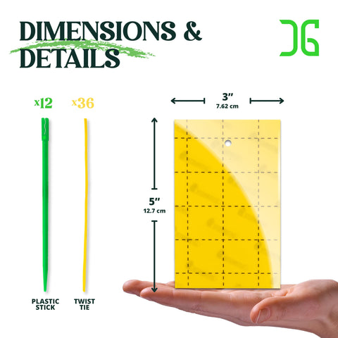 Catchmaster GRO Yellow traps along a garden path enhance protection.