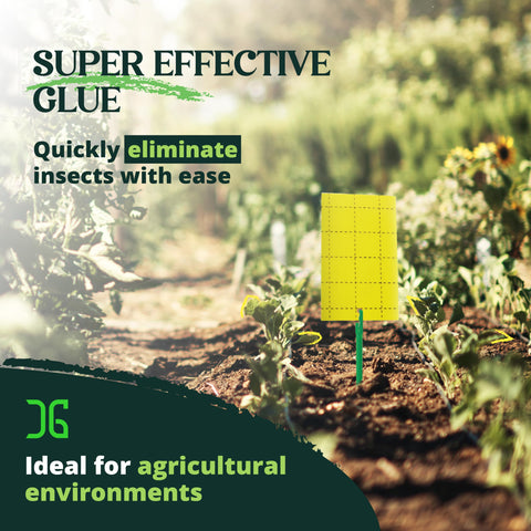 Catchmaster GRO Yellow traps on a plant protect foliage from pests.