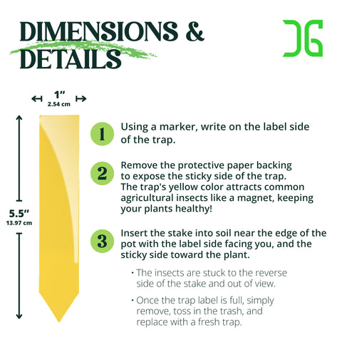 Catchmaster ground stake placement demonstrates easy outdoor use around plants