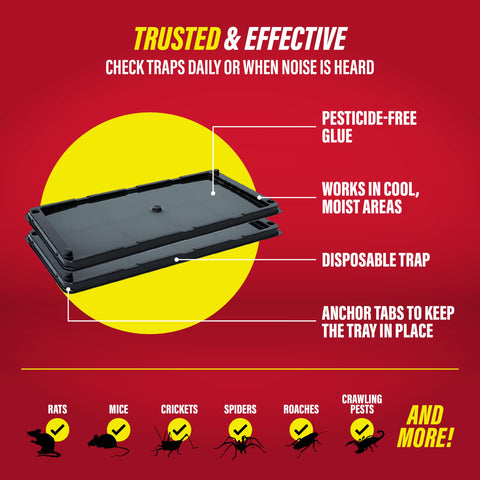 Catchmaster heavy-duty pest control trap for home and garage.