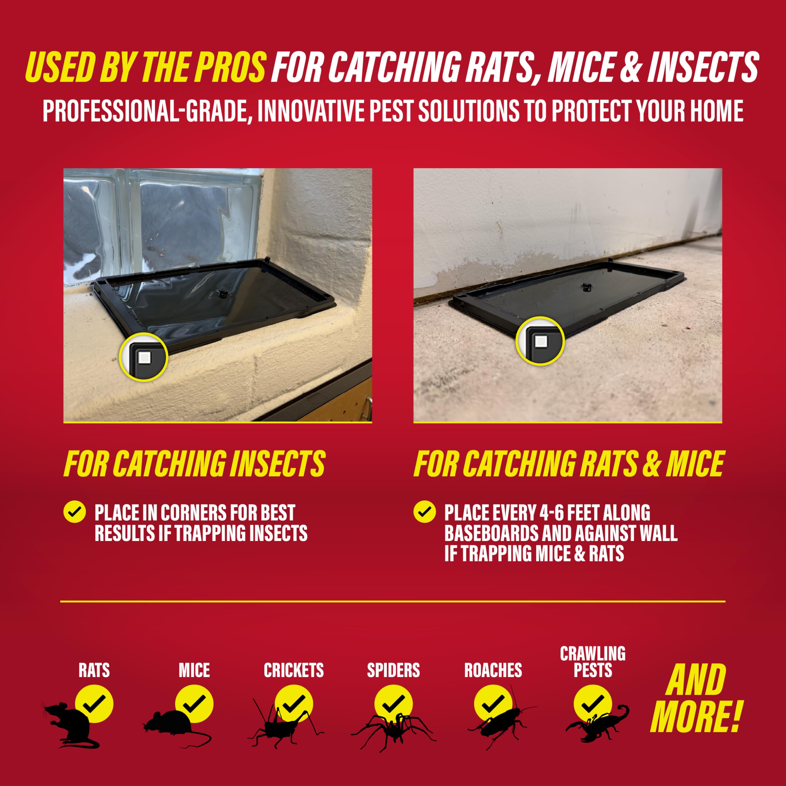 Catchmaster glue trap for indoor damp areas like basements.