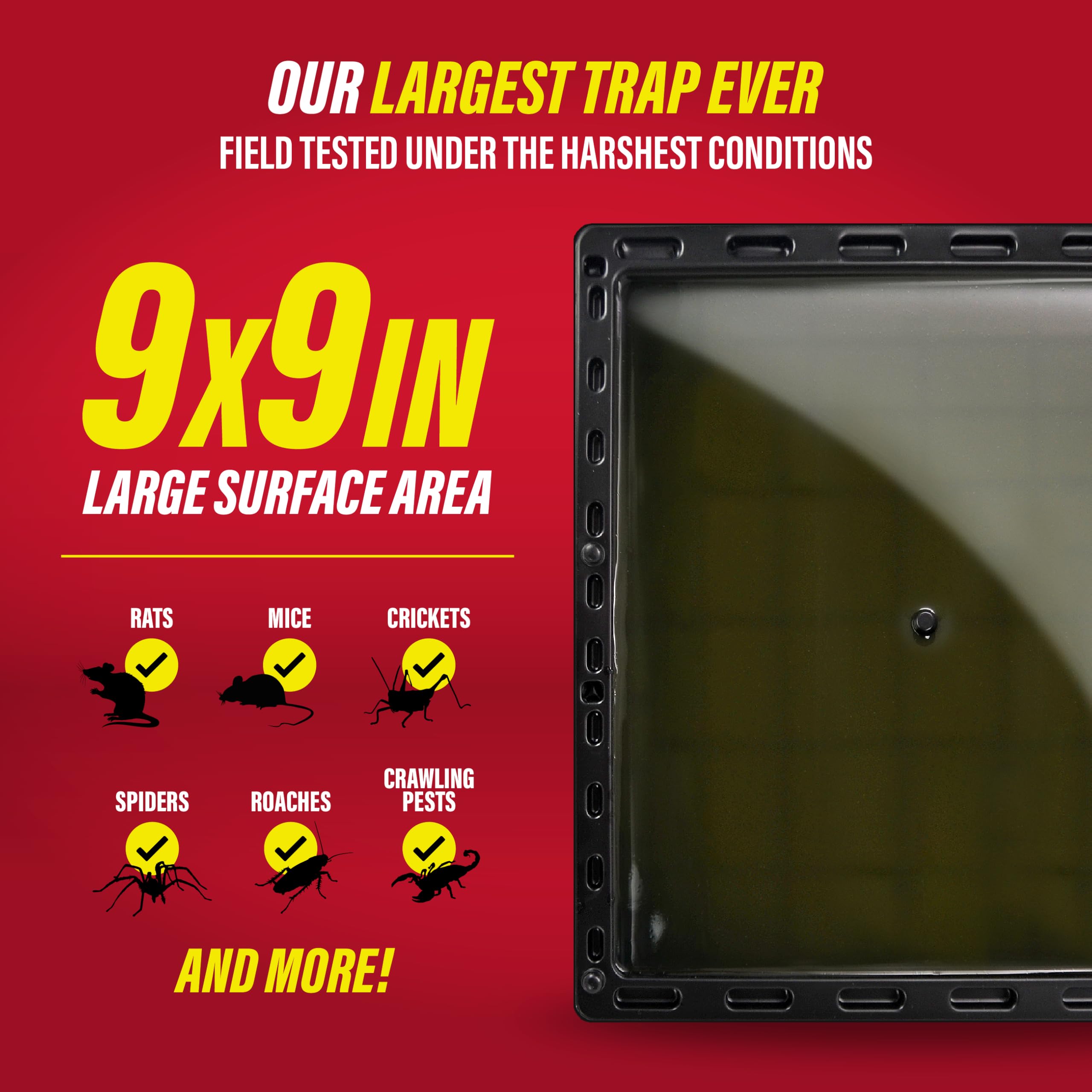 Catchmaster Jumbo Glue Trap instructional setup image highlights simple deployment.
