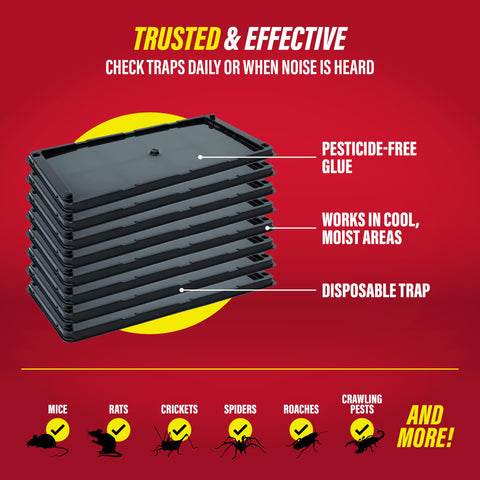Catchmaster made-in-the-usa glue traps support DIY pest management.