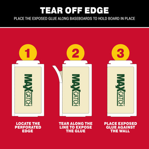 Catchmaster Max-Catch glue trap packaging indicating bulk purchase