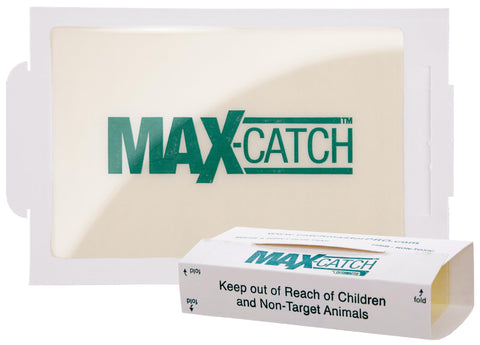 Catchmaster Max-Catch glue trap setup ready to catch pests