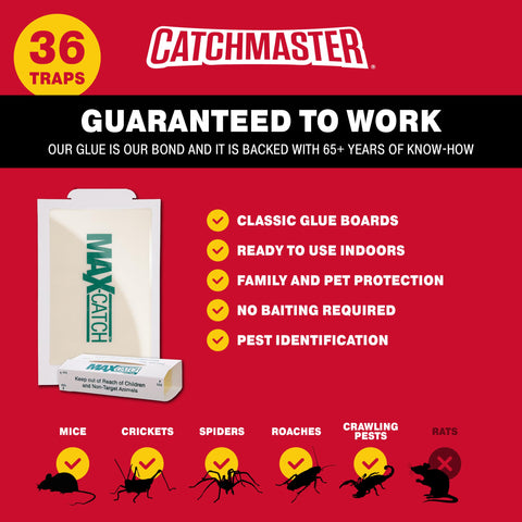 Catchmaster Max‑Catch glue trap placed in a corner along a hallway to catch pests.