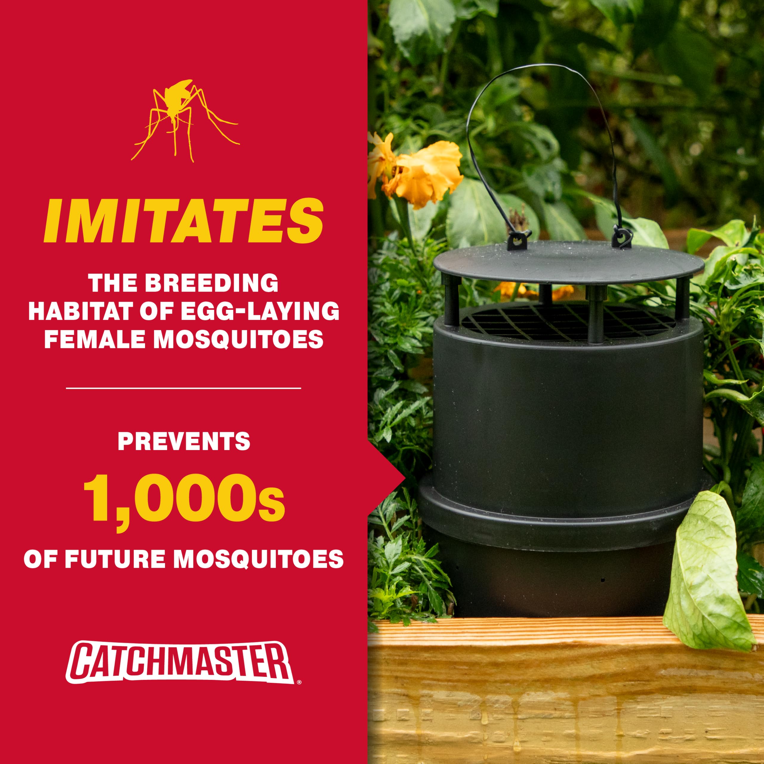 Four-trap kit placed in yard targets female mosquitoes