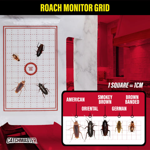Catchmaster roach trap kitchen-application sits along walls to intercept roaches