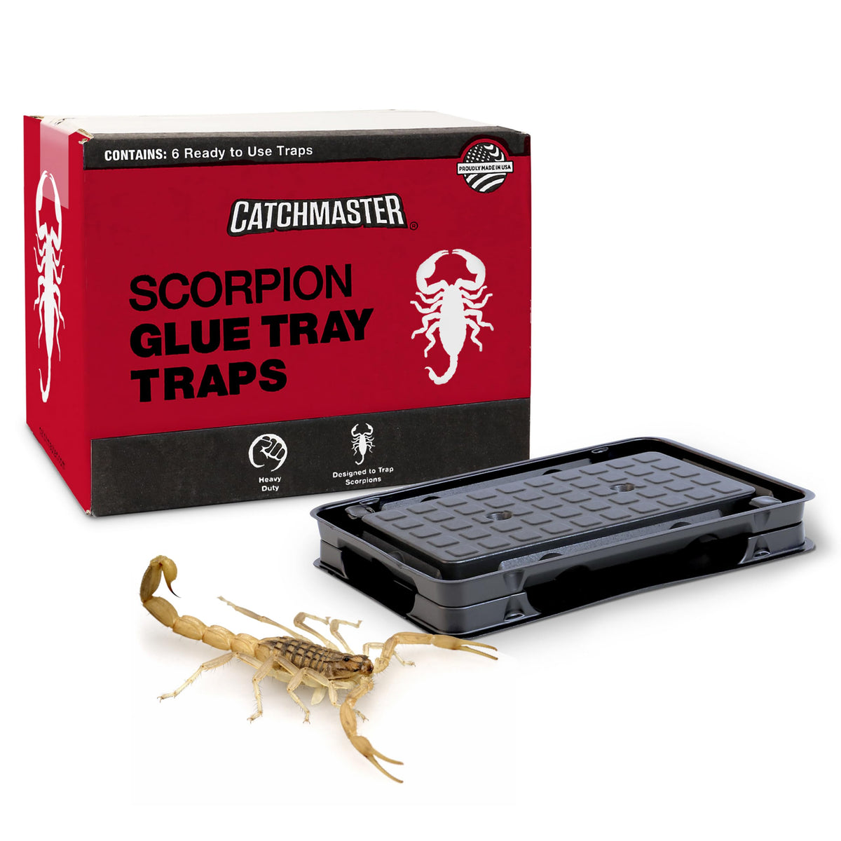 Catchmaster scorpion glue tray 6-pack close-up: sticky surface ideal for easy pest capture.