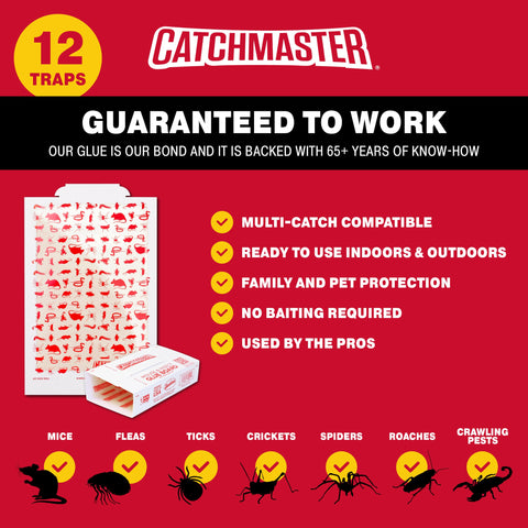 Catchmaster trap placed along baseboard for indoor coverage