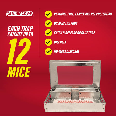 Catchmaster trap installed in damp basement demonstrates year-round control potential.