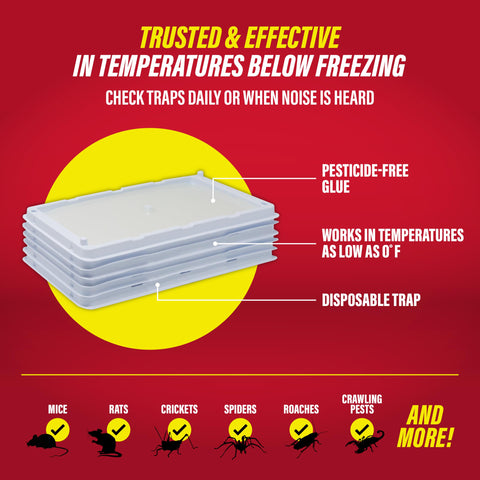 Catchmaster traps in a garage during winter for pest control.