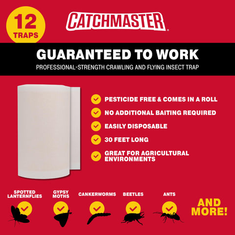 Catchmaster Tree Shield barrier on a garden bed demonstrates pest monitoring advantages