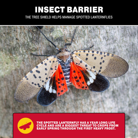 Close-up of Catchmaster Tree Shield adhesive barrier catching crawling insects