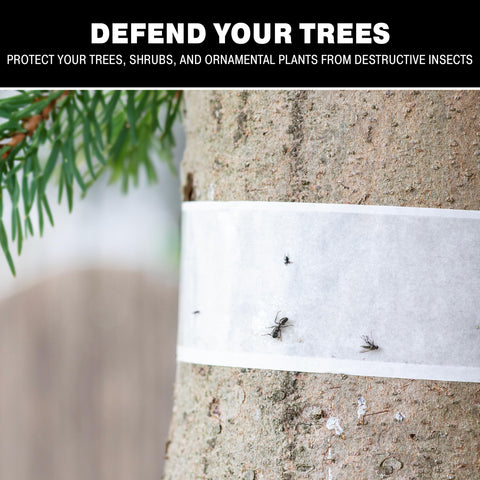 Tree Shield aiding pest monitoring and activity reduction