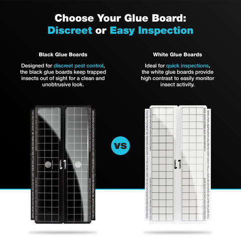Catchmaster Vector unscented glue boards ideal for food-related spaces