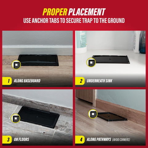 Catchmaster wall-pathway placement supports effective pest capture along routes.