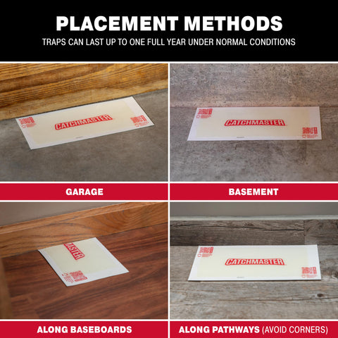 Catchmaster XL glue traps shown in an indoor shelf setting for placement.
