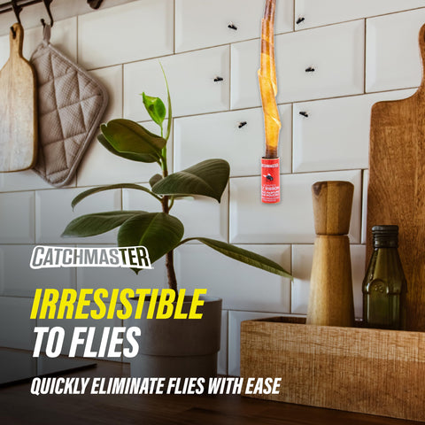 Catchmaster fly ribbons in outdoor patio setup helping reduce bug presence.