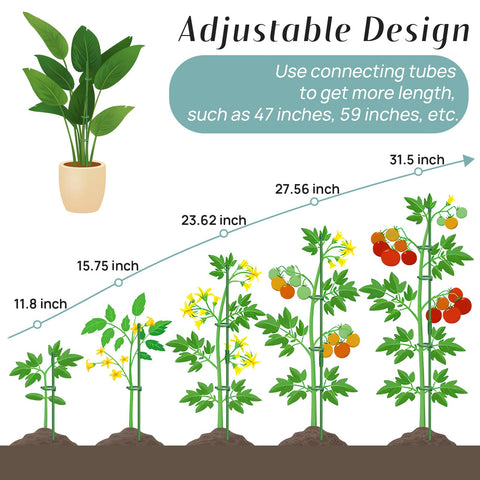 Catephe adjustable-length stakes ready for growth