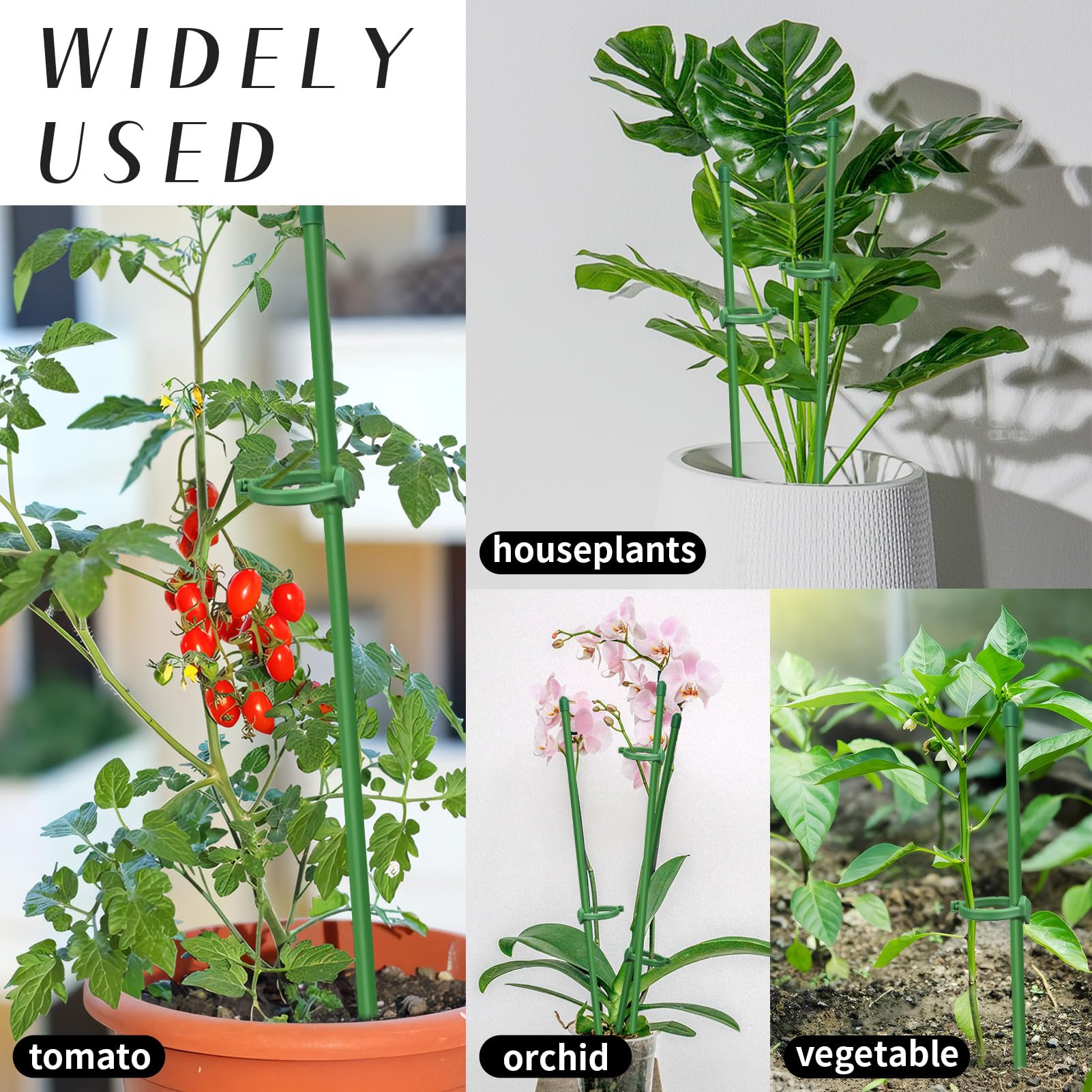 Catephe indoor-outdoor plant support suitable for greens and vegetables