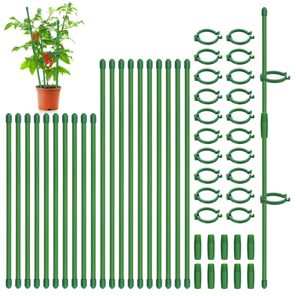 Catephe plant stakes kit showing 12 and 16 inch options for adjustable support