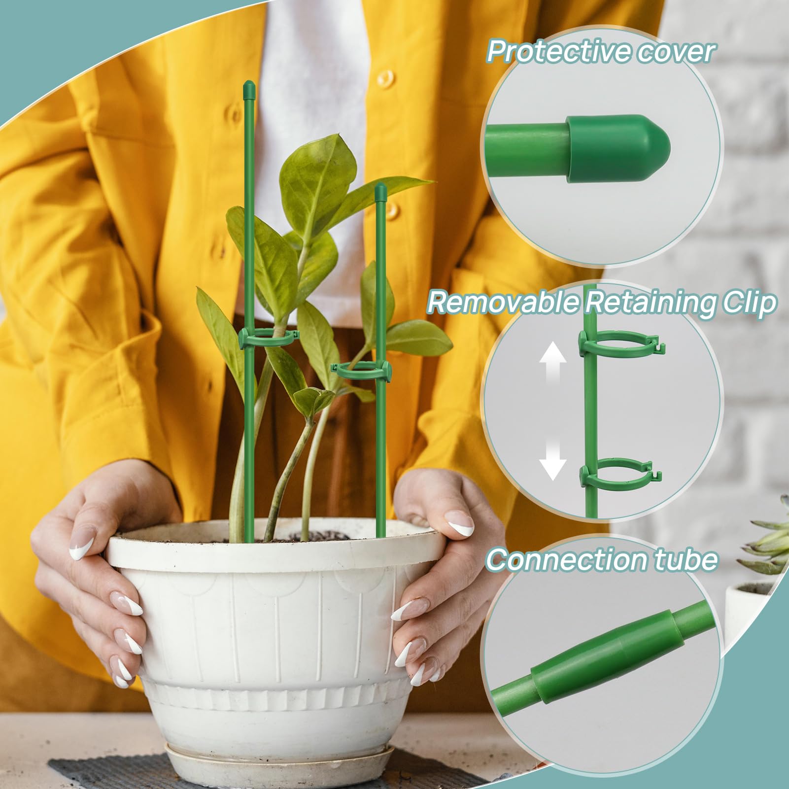 Catephe stakes arranged in a pot for easy indoor use