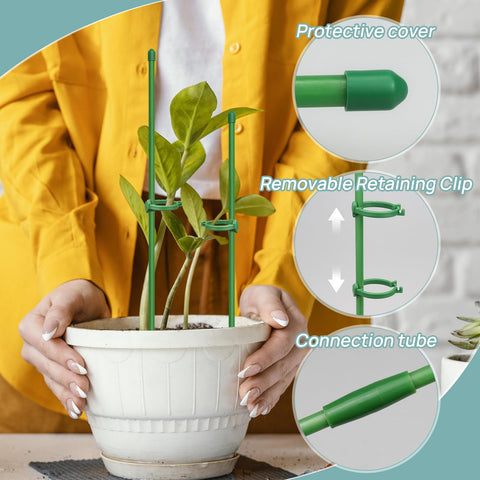 Catephe stakes arranged in a pot for easy indoor use