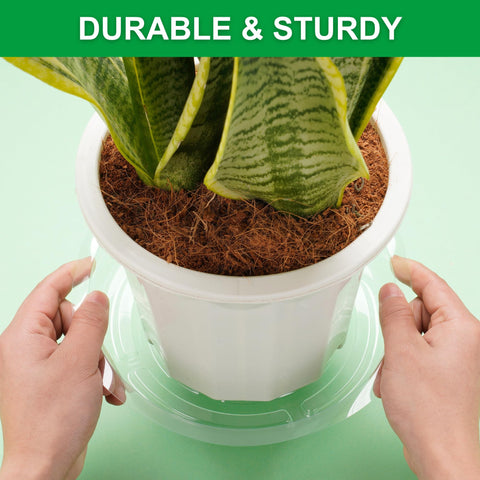 CATIFLIN clear plant saucers twelve-inch tray fits large pots and outdoor use