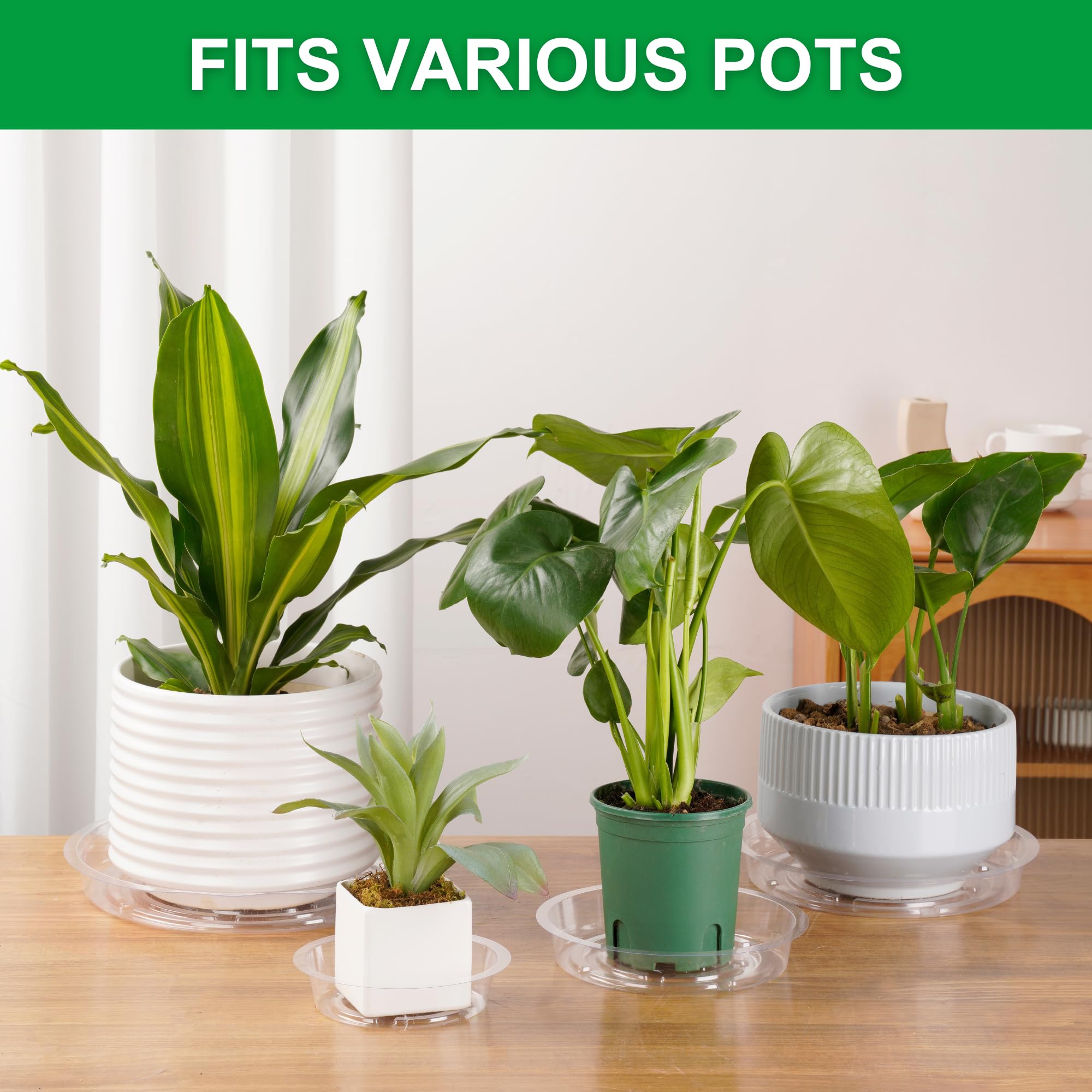 CATIFLIN clear plant saucers eight-inch are ideal for medium pots and drainage