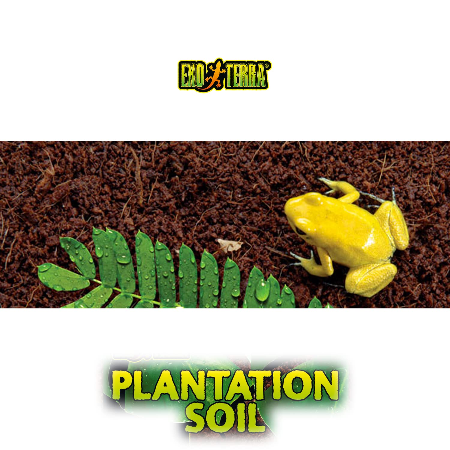 Catit Exo Terra Plantation Soil in terrarium setup supports humidity and stable footing