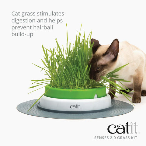 Catit Senses 2.0 cat grass planter ready set with greens