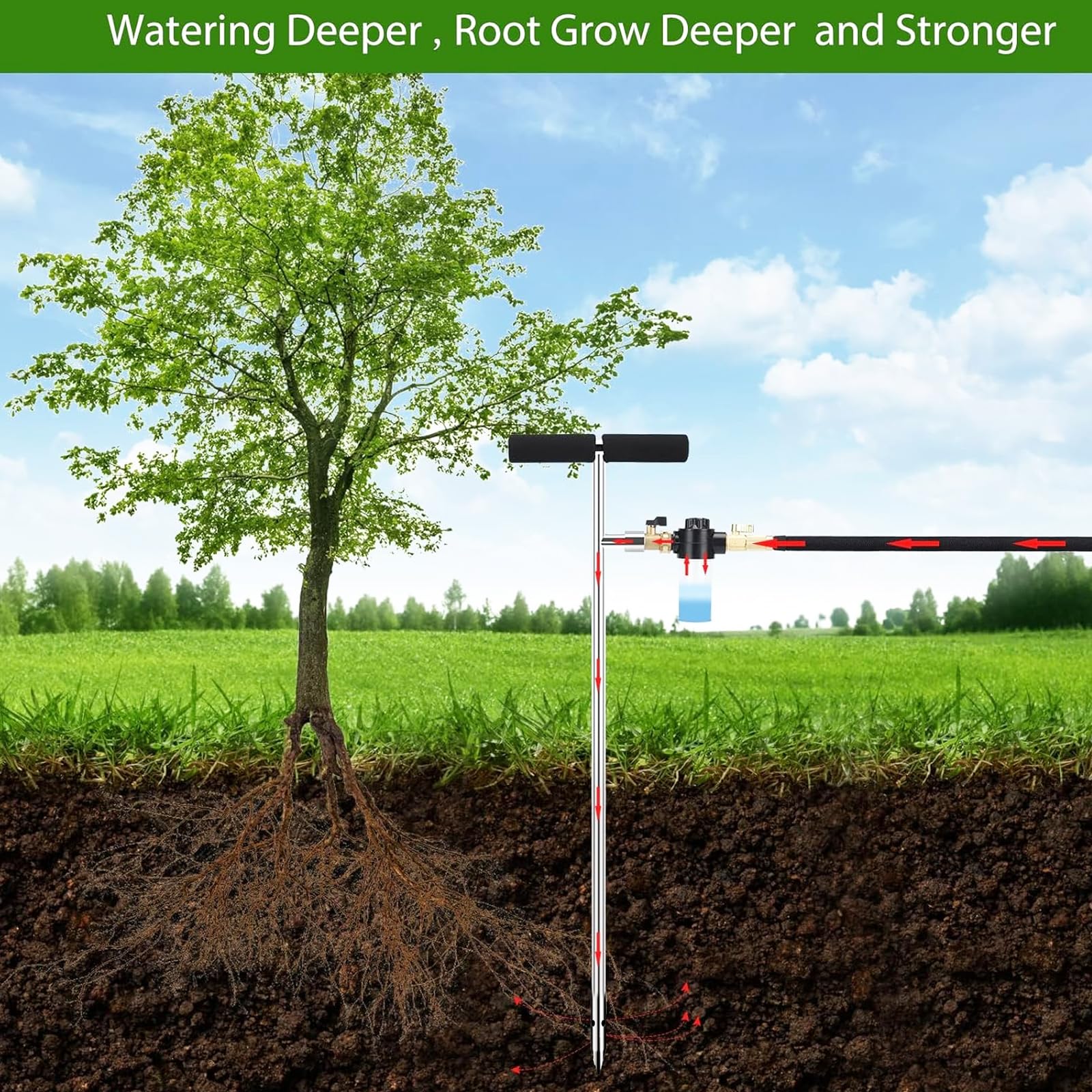 Caulimo deep root watering tool in stainless steel highlighting durability and rust resistance.