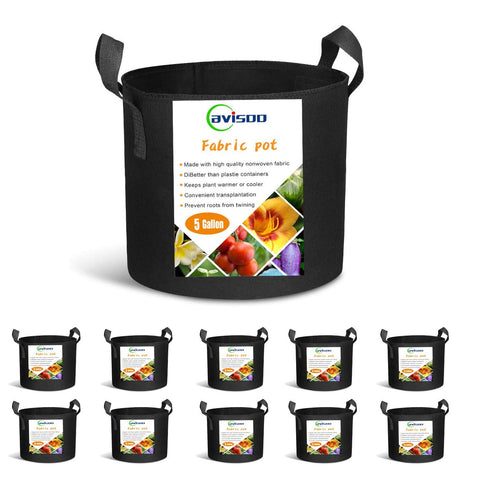 Cavisoo 5-gallon grow bag side view demonstrates durable 300g fabric suitable for reuse.