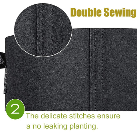 Cavisoo root-ventilation design helps prevent circling for robust root systems