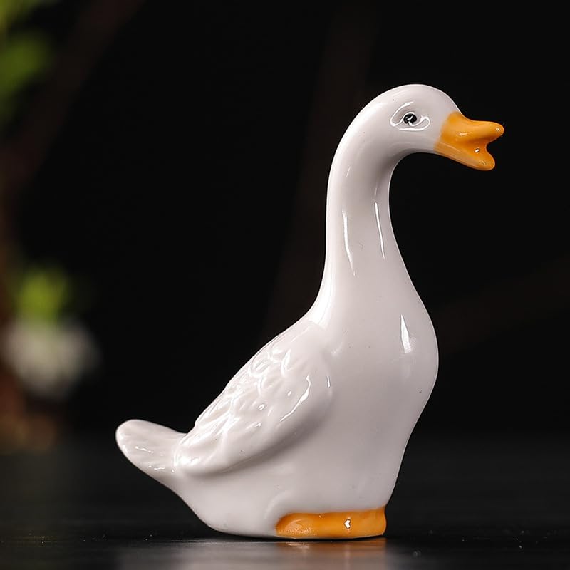 CCUUHJ fairy garden display ducks terrarium friendly accents