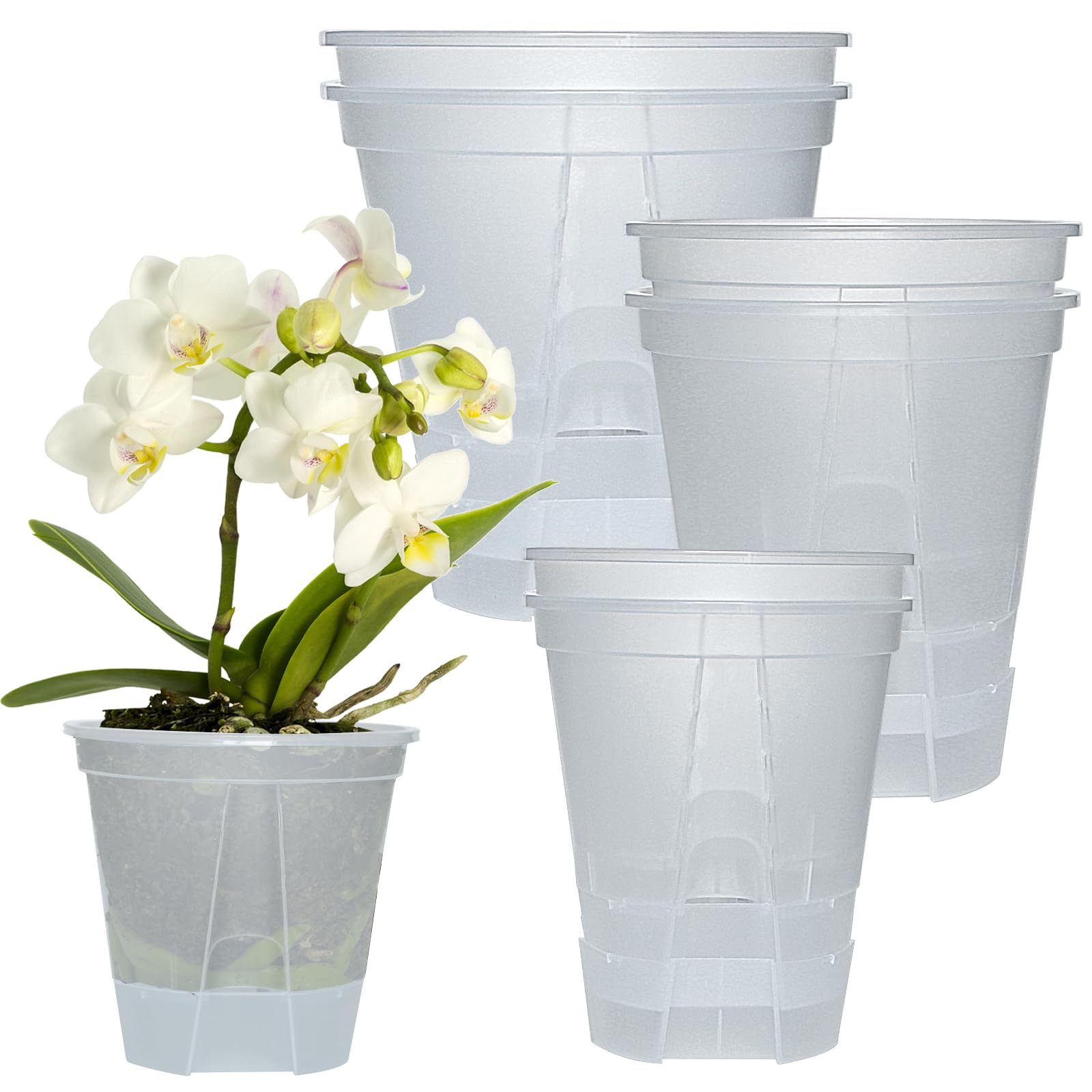 Cdd's Path six-pack bare-root planters with self-watering design for indoor or outdoor use.