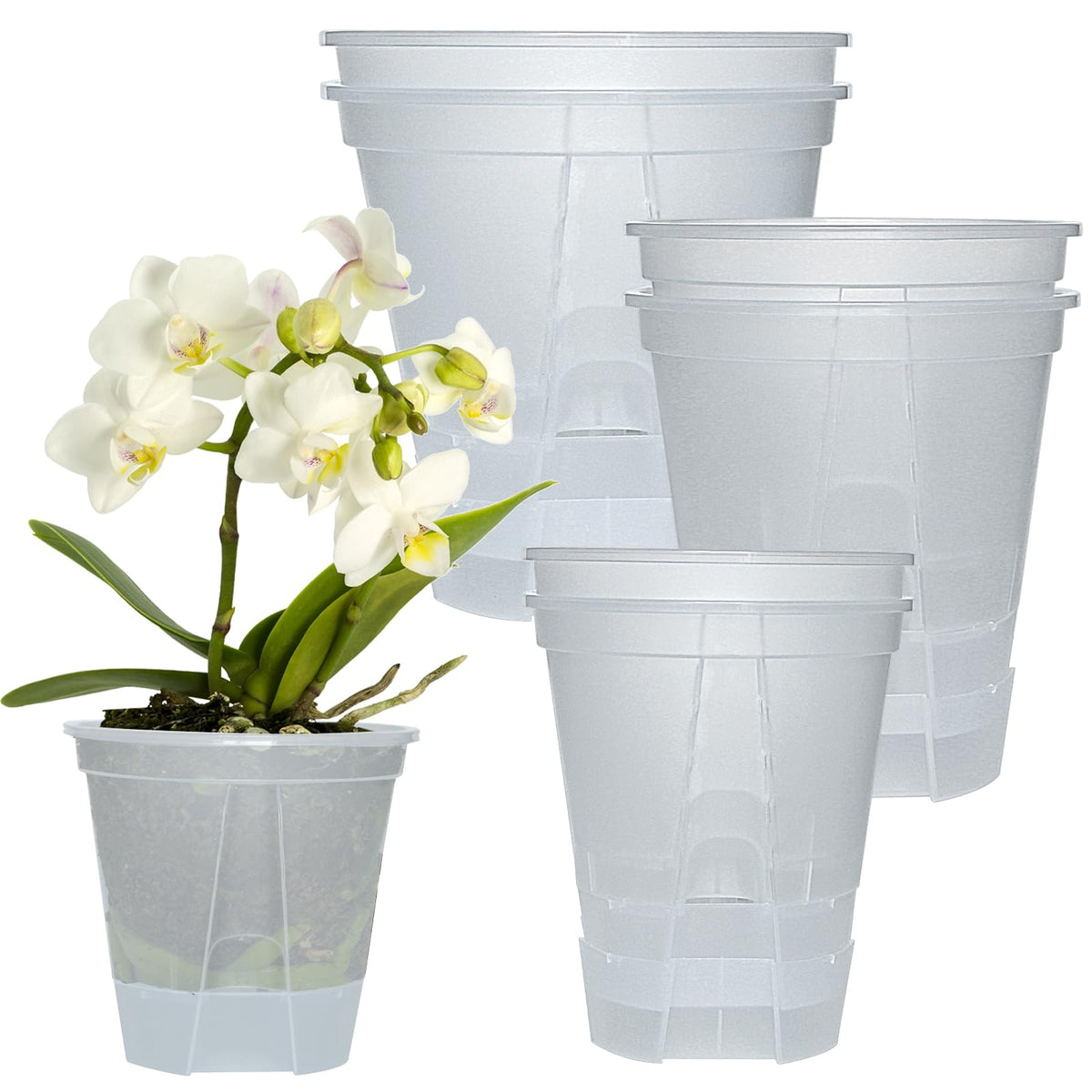 Cdd's Path six-pack bare-root planters with self-watering design for indoor or outdoor use.
